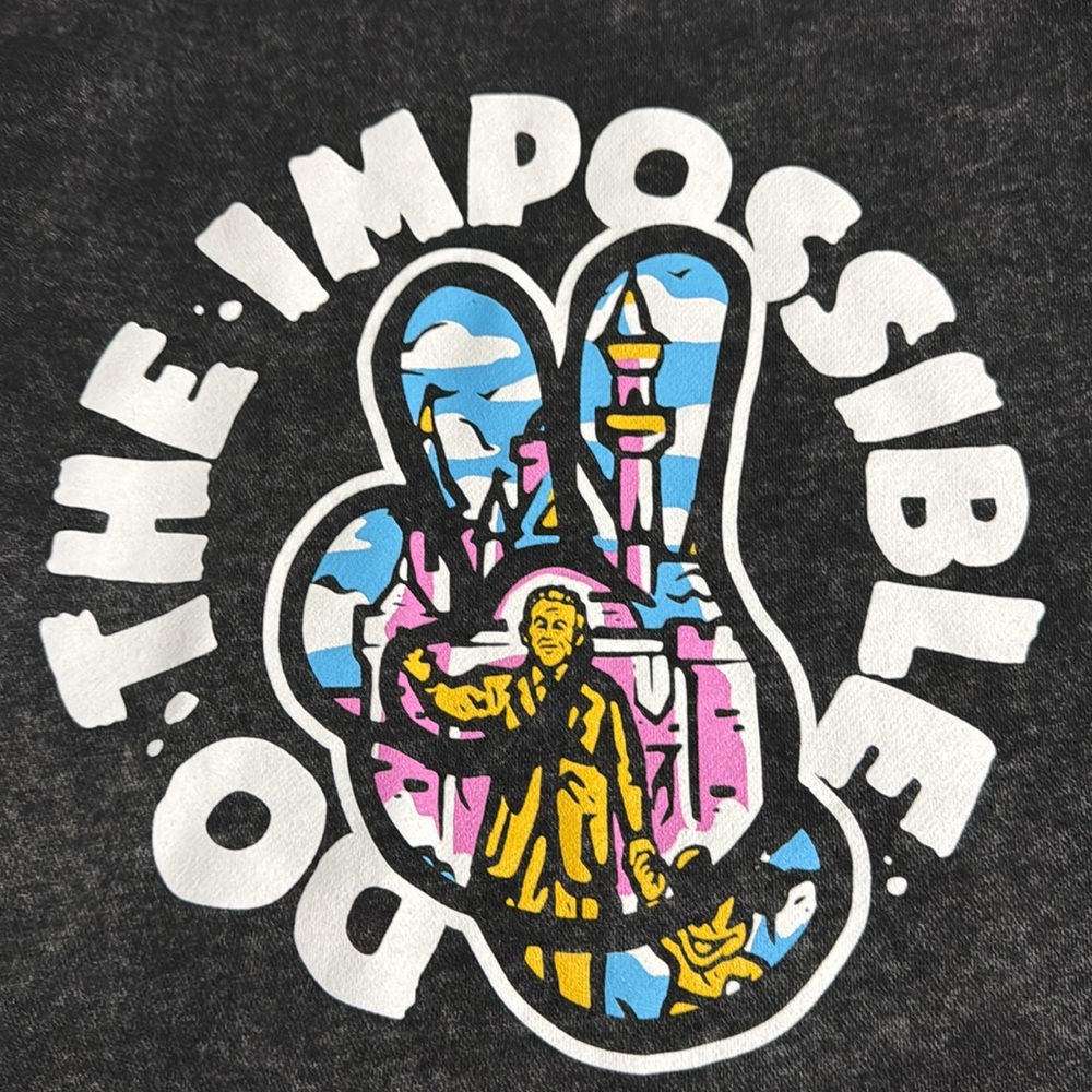Walt Disney Do The Impossible Hoodie by Flying House Threads, size L